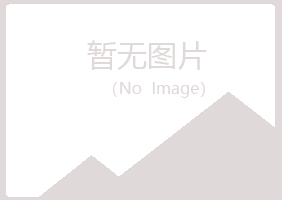 阳山县分心会计有限公司